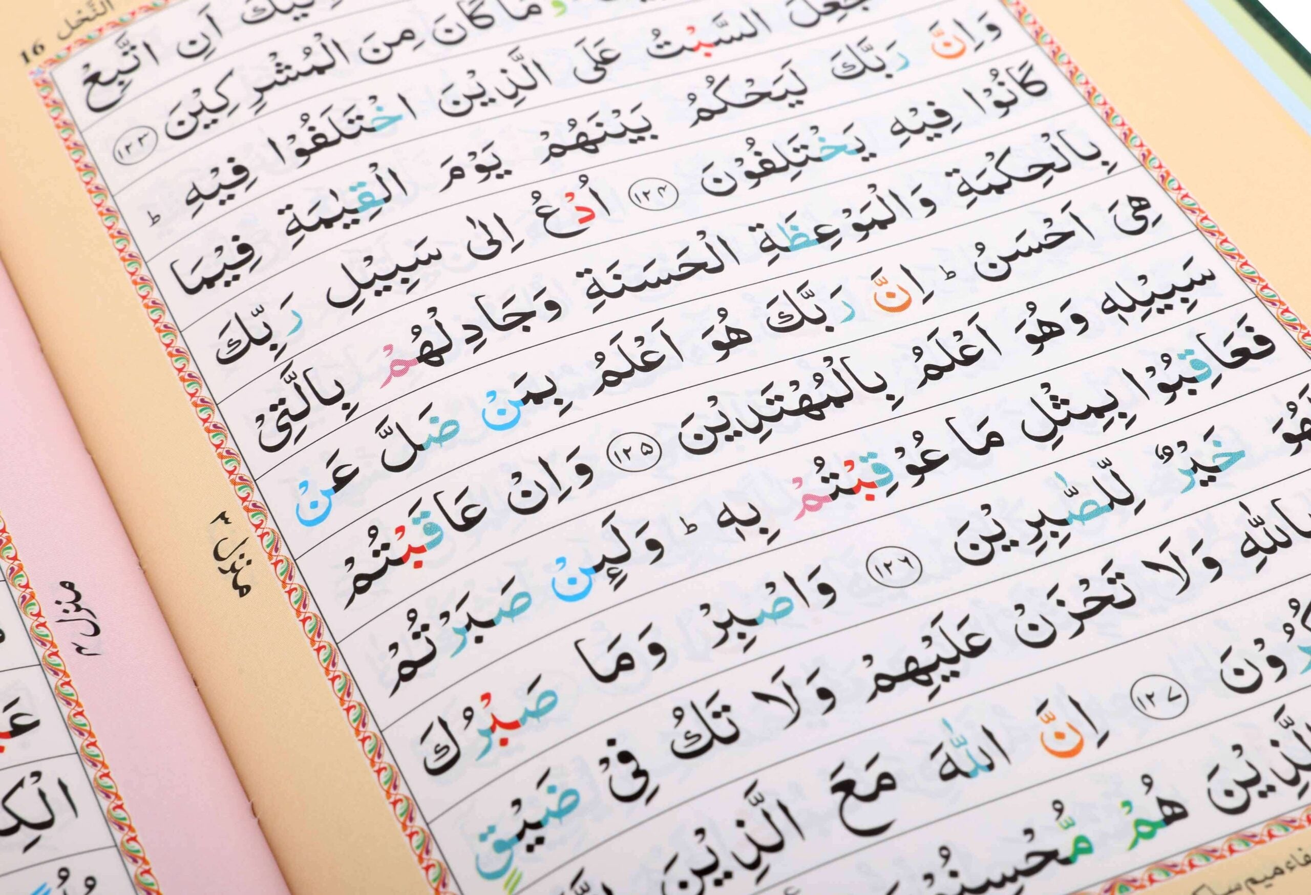 13 Line Panj Para Set with Hardback Slip Case | Colour Coded Tajweed Rules | 6 Volumes