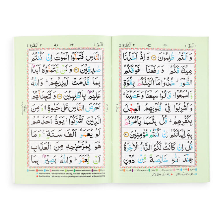 Premium 9-Line 30 Para Set Quran  | High-Grade Paper, Matte Finish Colour Coded Tajweed Para set